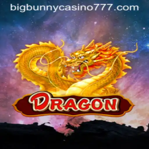 Discover the Thrilling World of Dragon at Big Bunny Casino