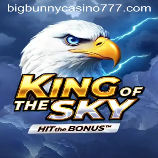 KingOfTheSky: A Journey Through the Virtual Skies