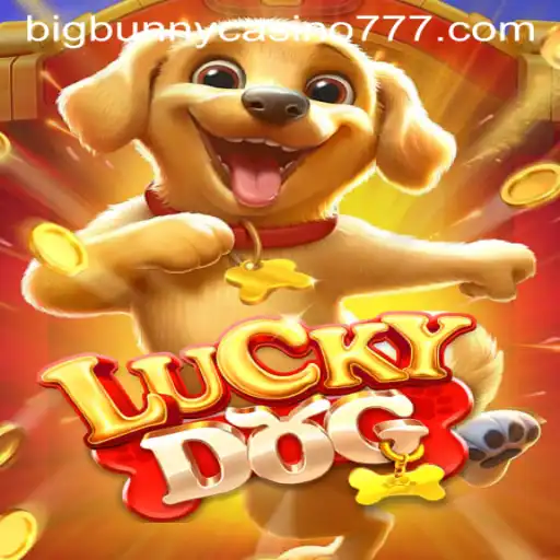 Exploring LuckyDog: The New Sensation in Big Bunny Casino
